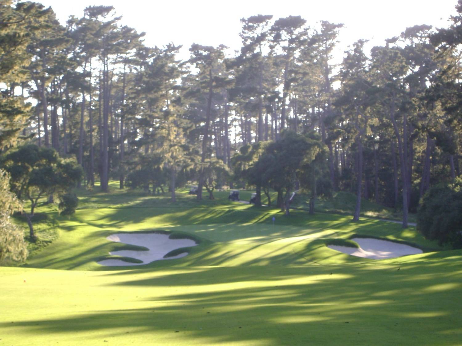 Along the Bay — Spanish Bay