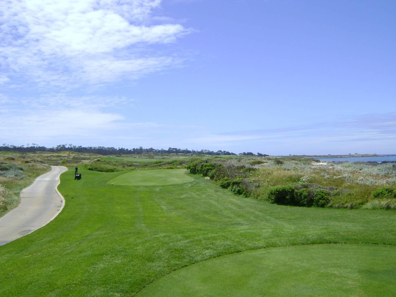 Fairway Cypress — Spanish Bay