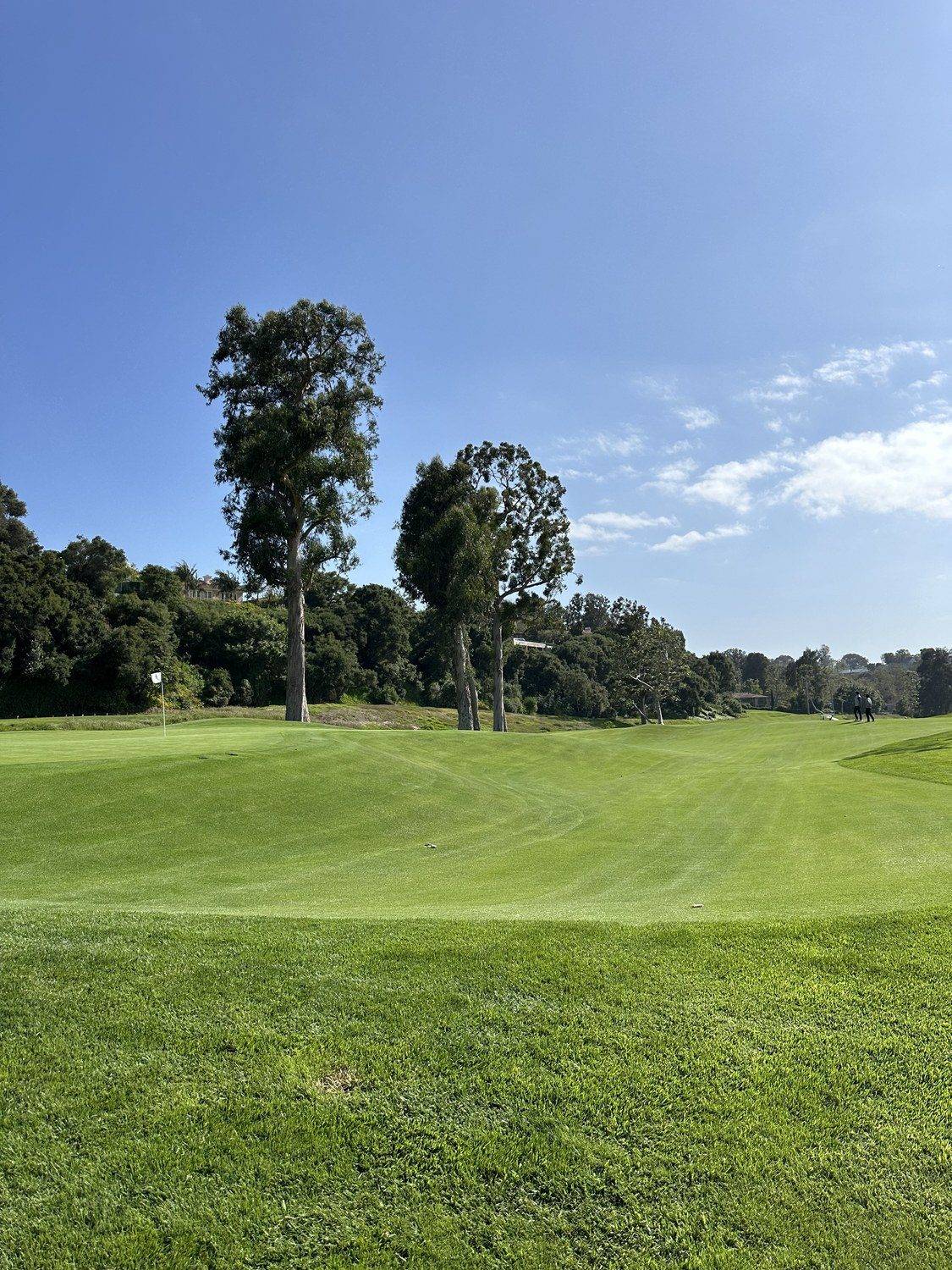 Gold Putt — Riviera