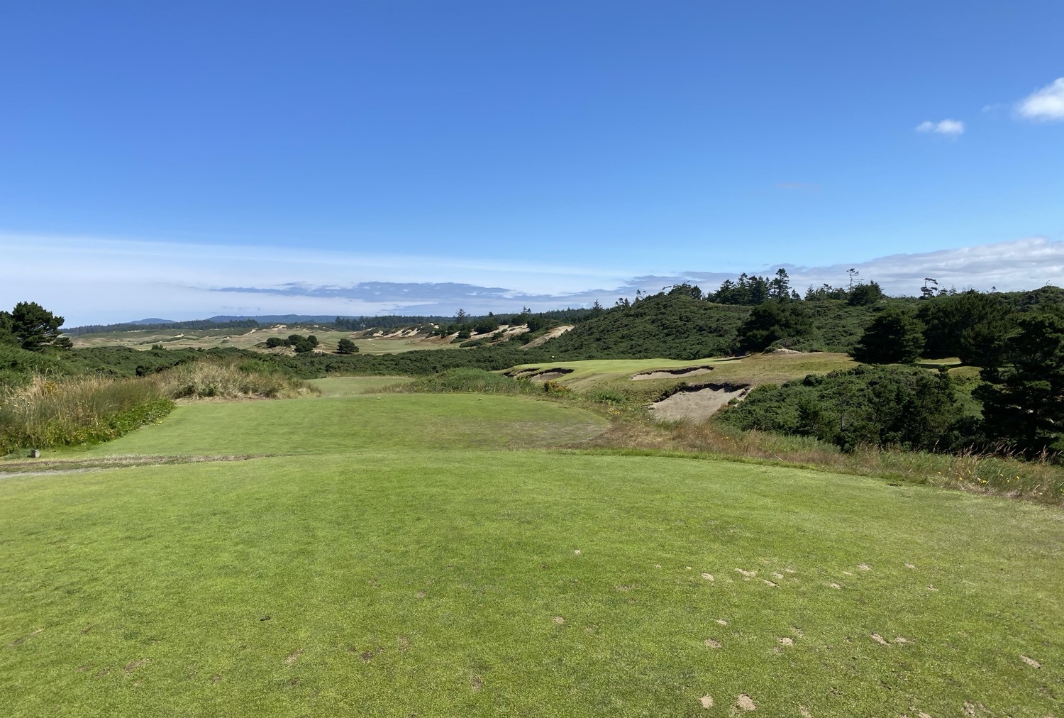 Gorse Country, Bandon Dunes