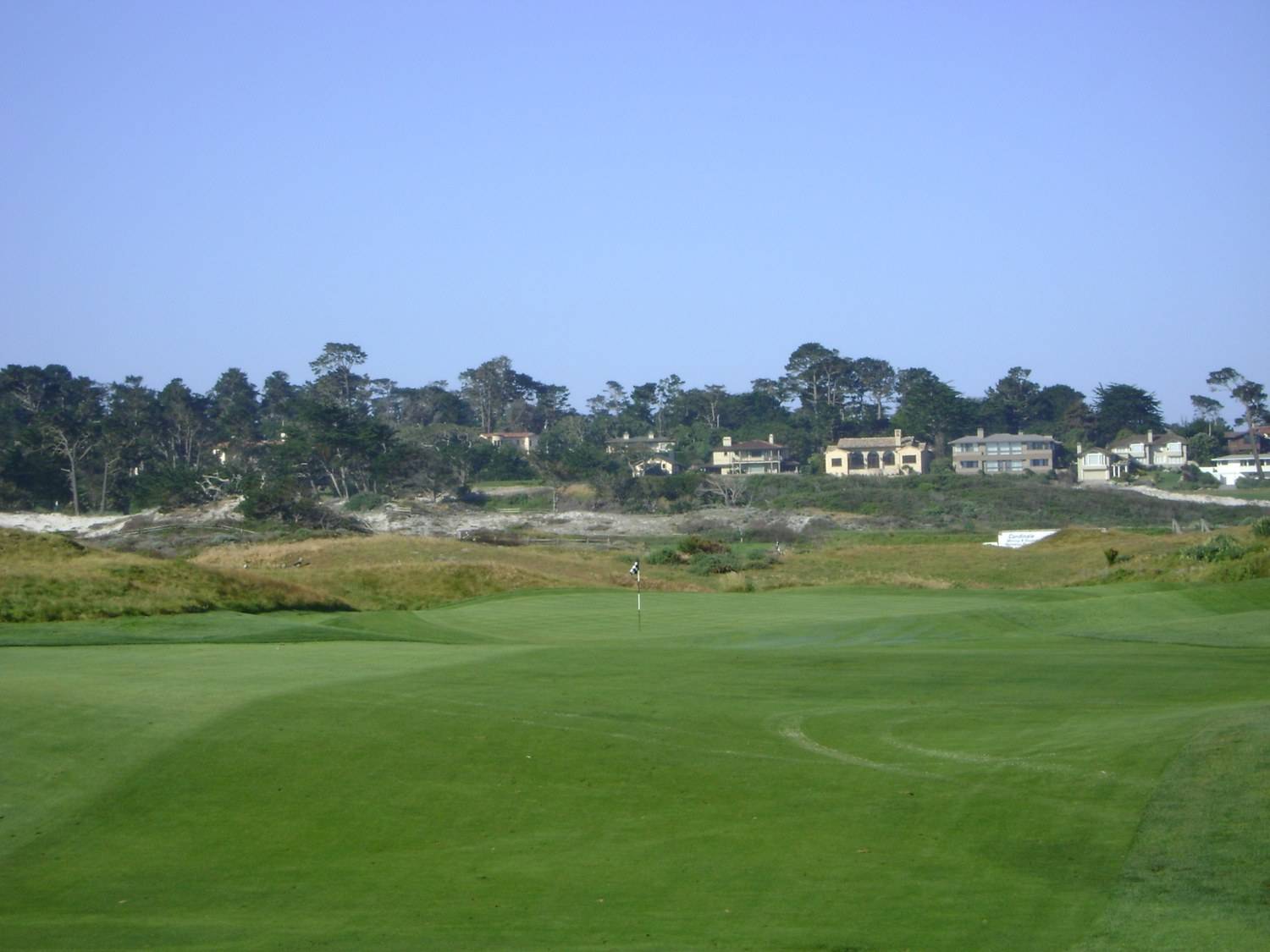 Ice Plant Edge — Spanish Bay