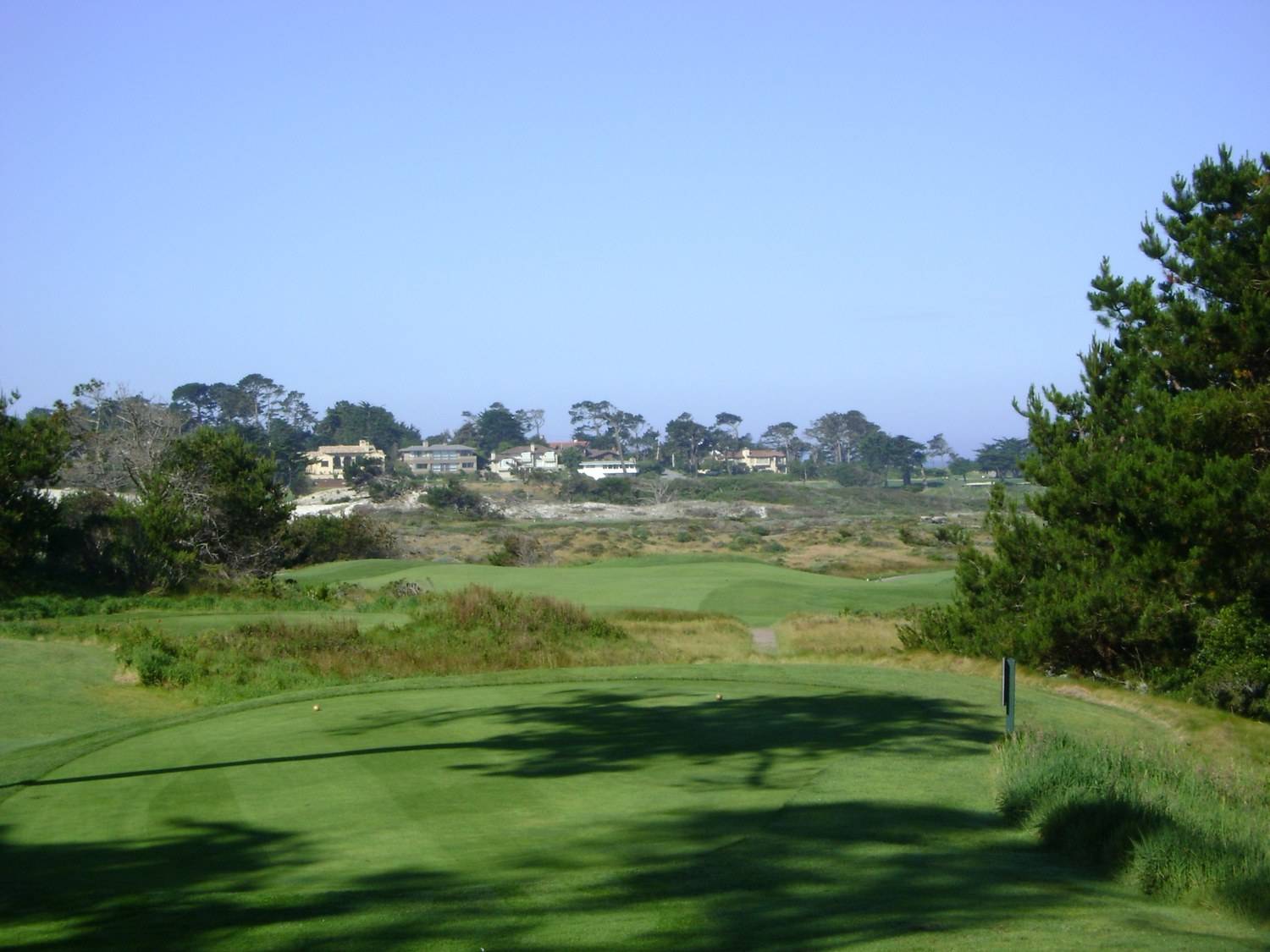 Ice Plant Walk — Spanish Bay