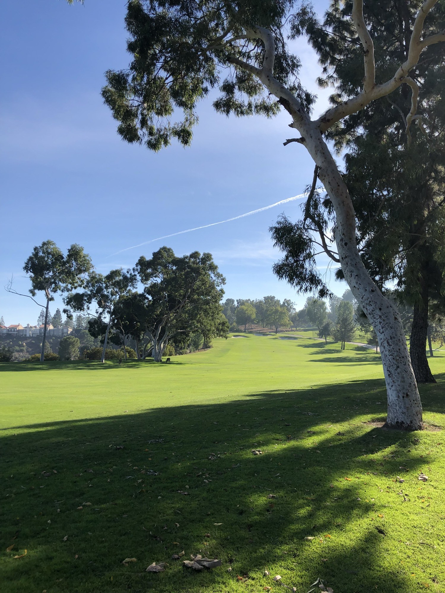 The Lean, Mountaingate Country Club 7 Lake