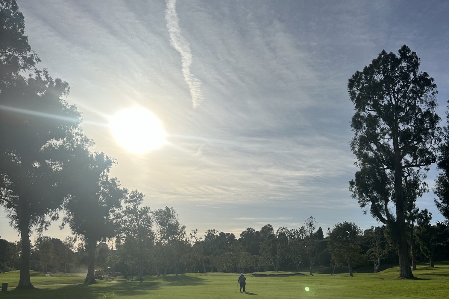 Late Walk, Riviera