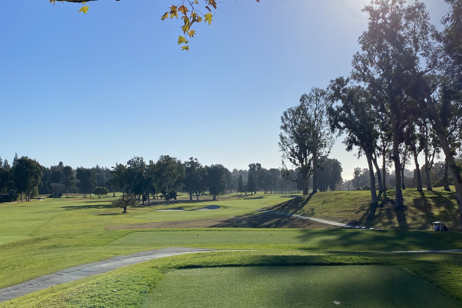 Morning Tee, Riviera