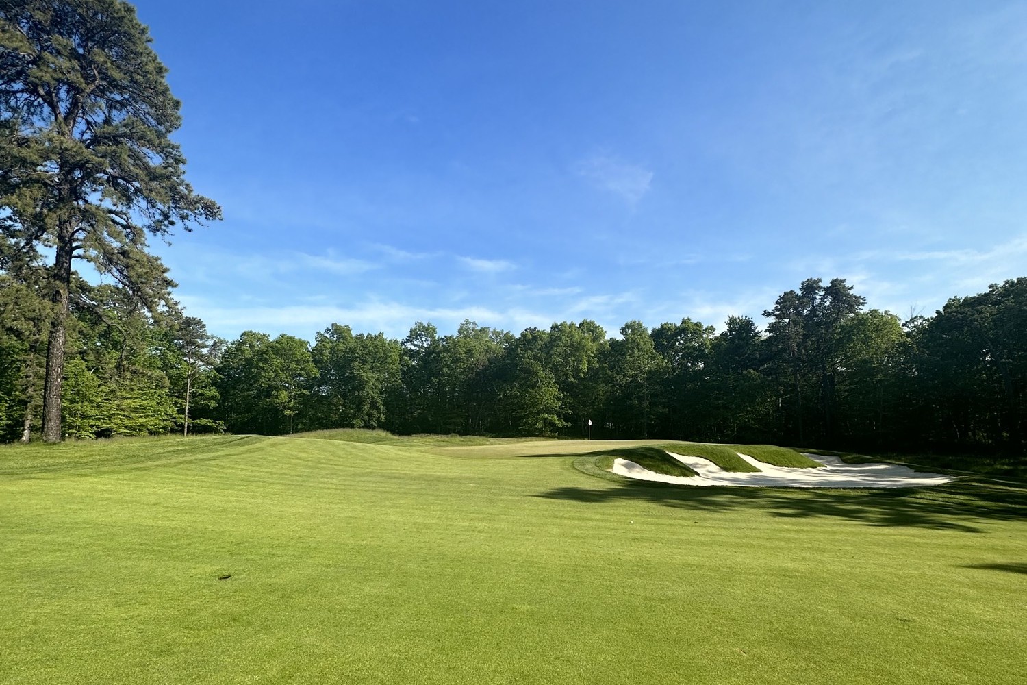 Oak Bunkers, Metedeconk National