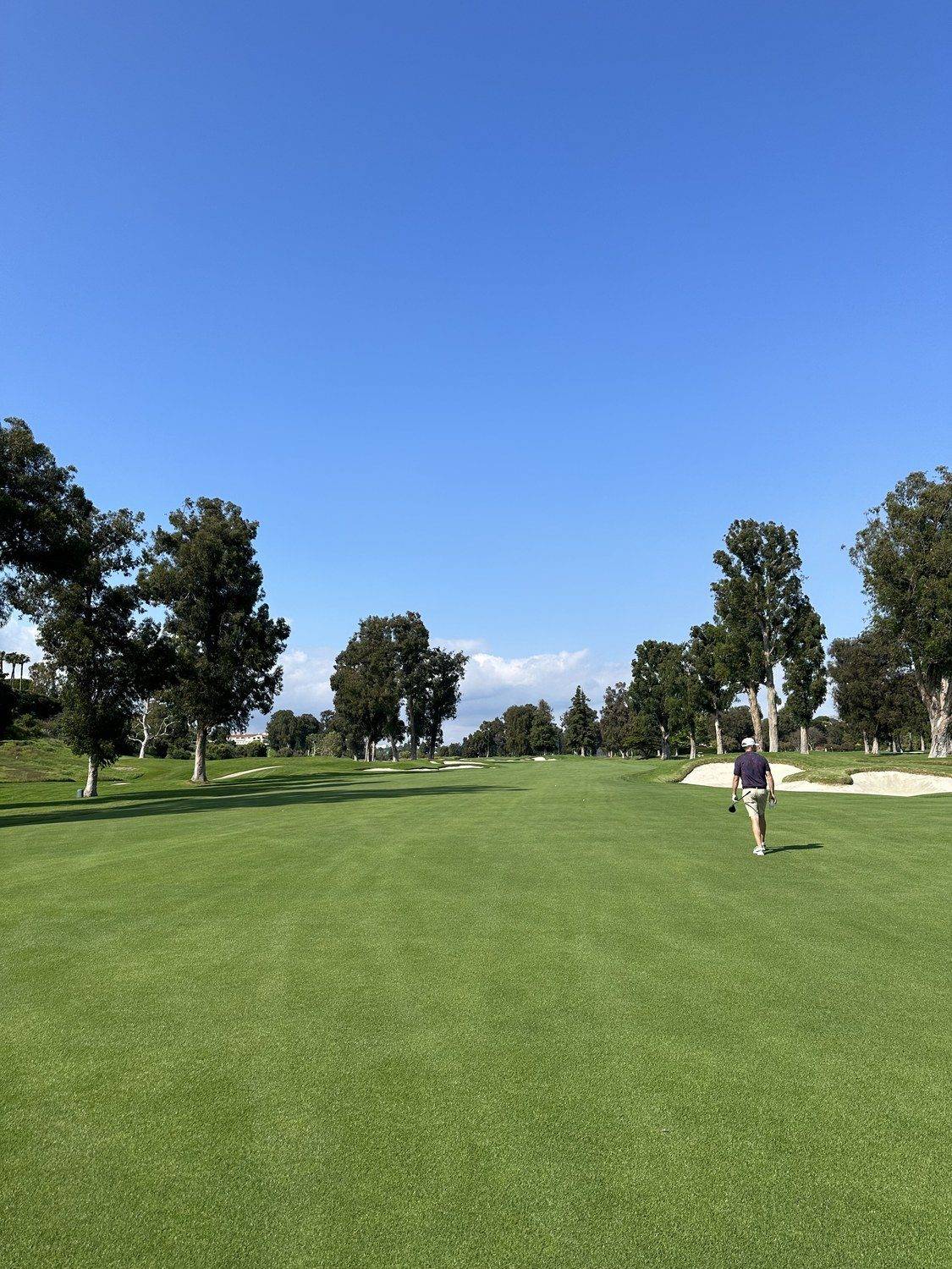 Sycamore Putt — Riviera