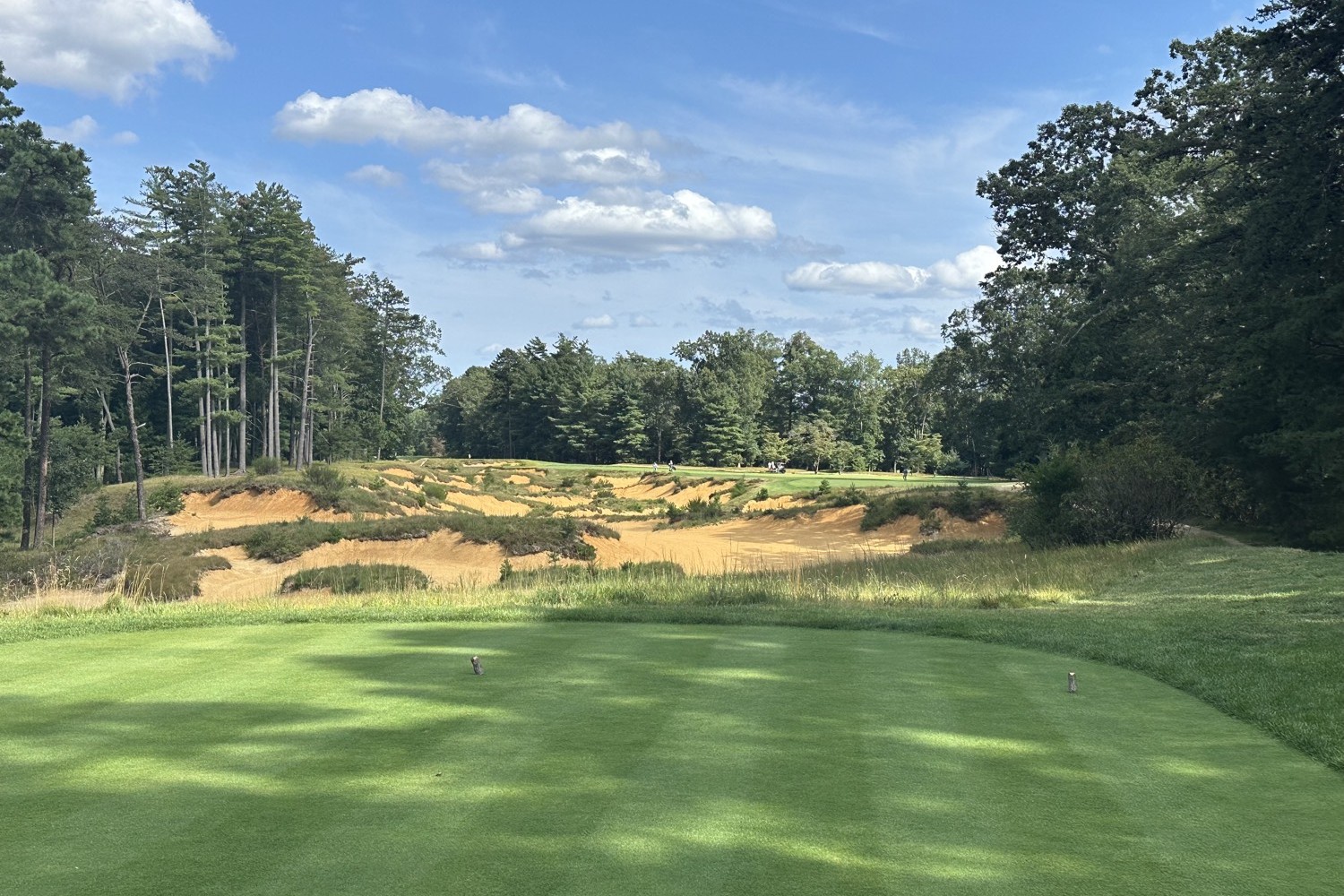 The Carry, Pine Valley