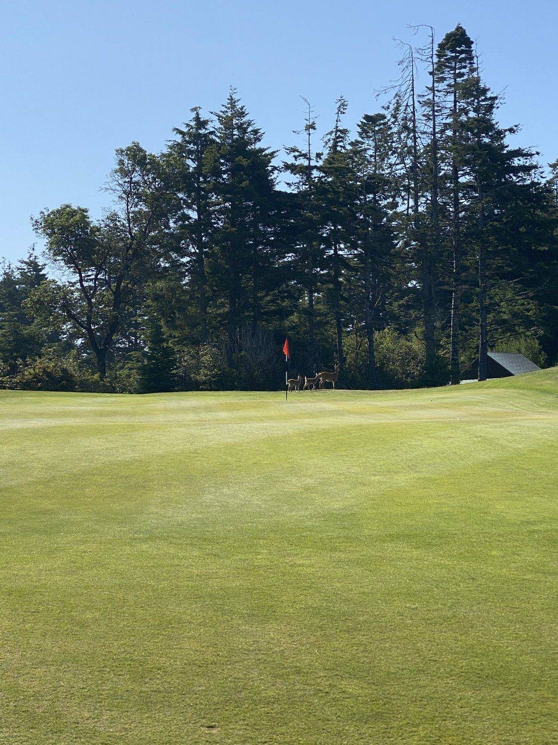 The Punchbowl — Bandon Dunes