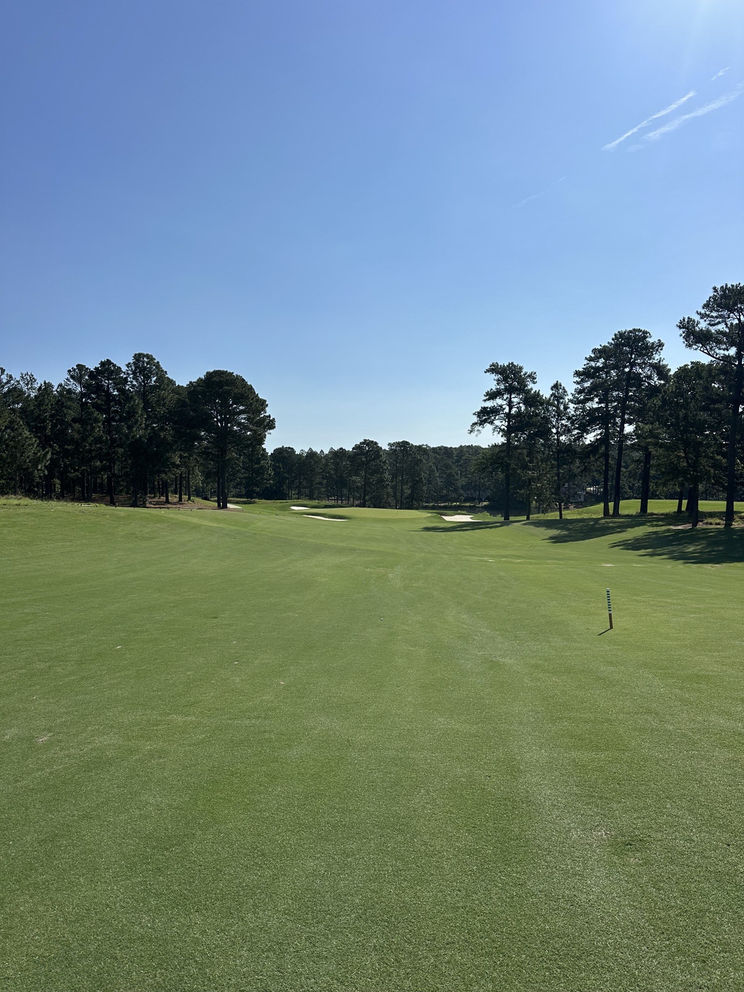 The Stake, Pinehurst