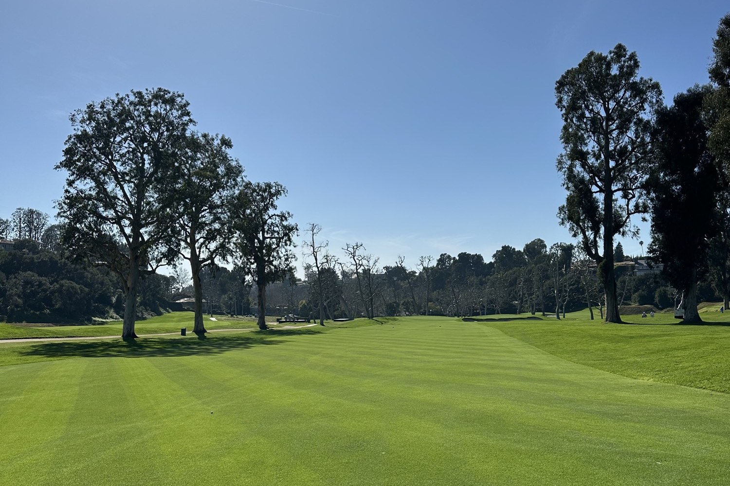 The Stripe, Riviera