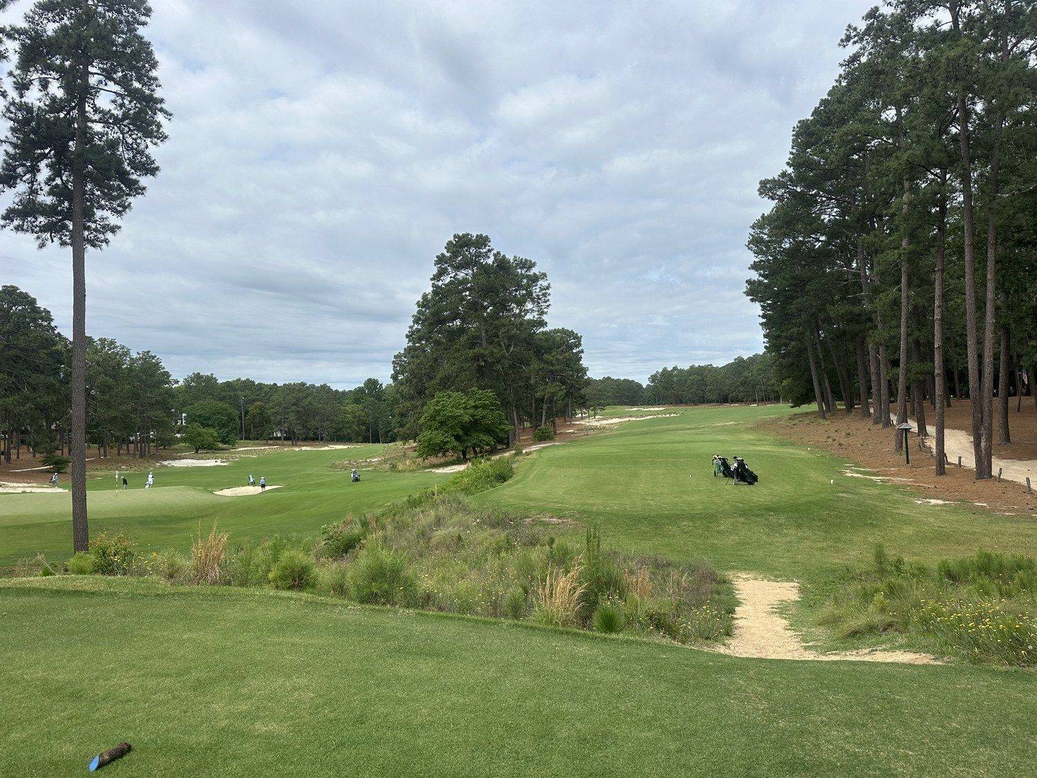 The Waste — Pinehurst