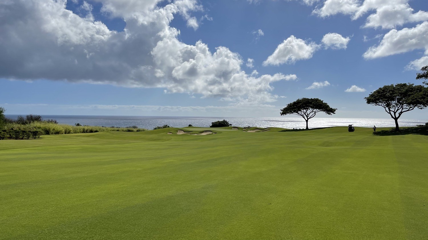Two Trees, Kukuiula