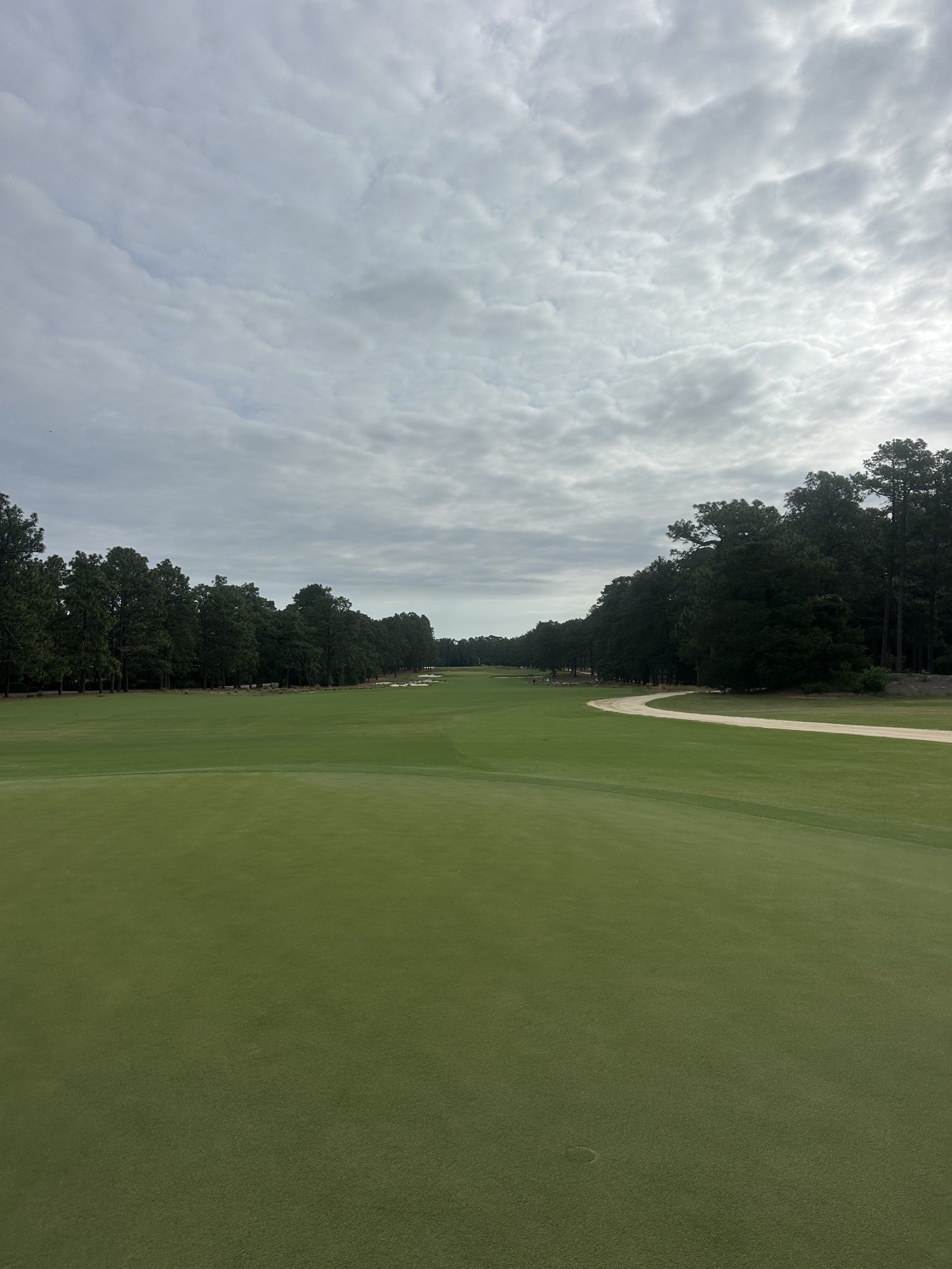 Under Grey, Pinehurst